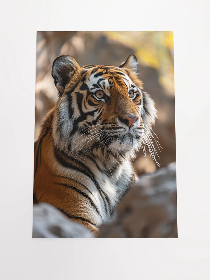 Tiger Solitude: A Portrait of Majestic Calm product image (1)