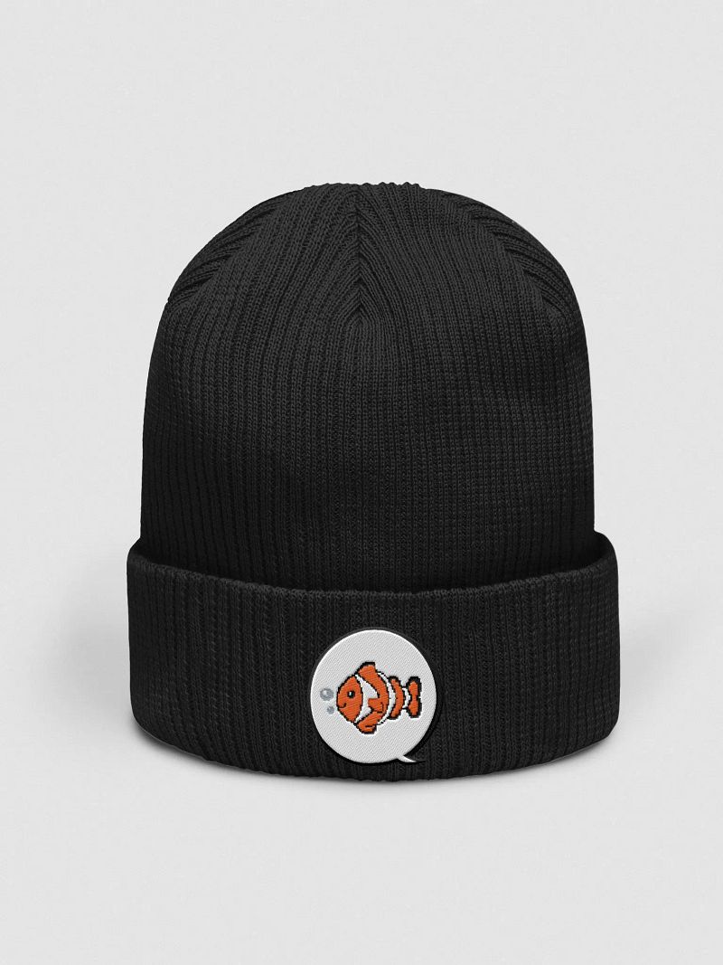 Clownfish TV Embroidered Logo Ribbed Beanie