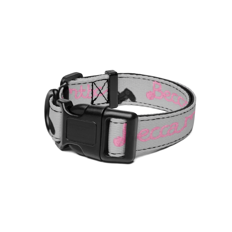 Dog Collar product image (1)
