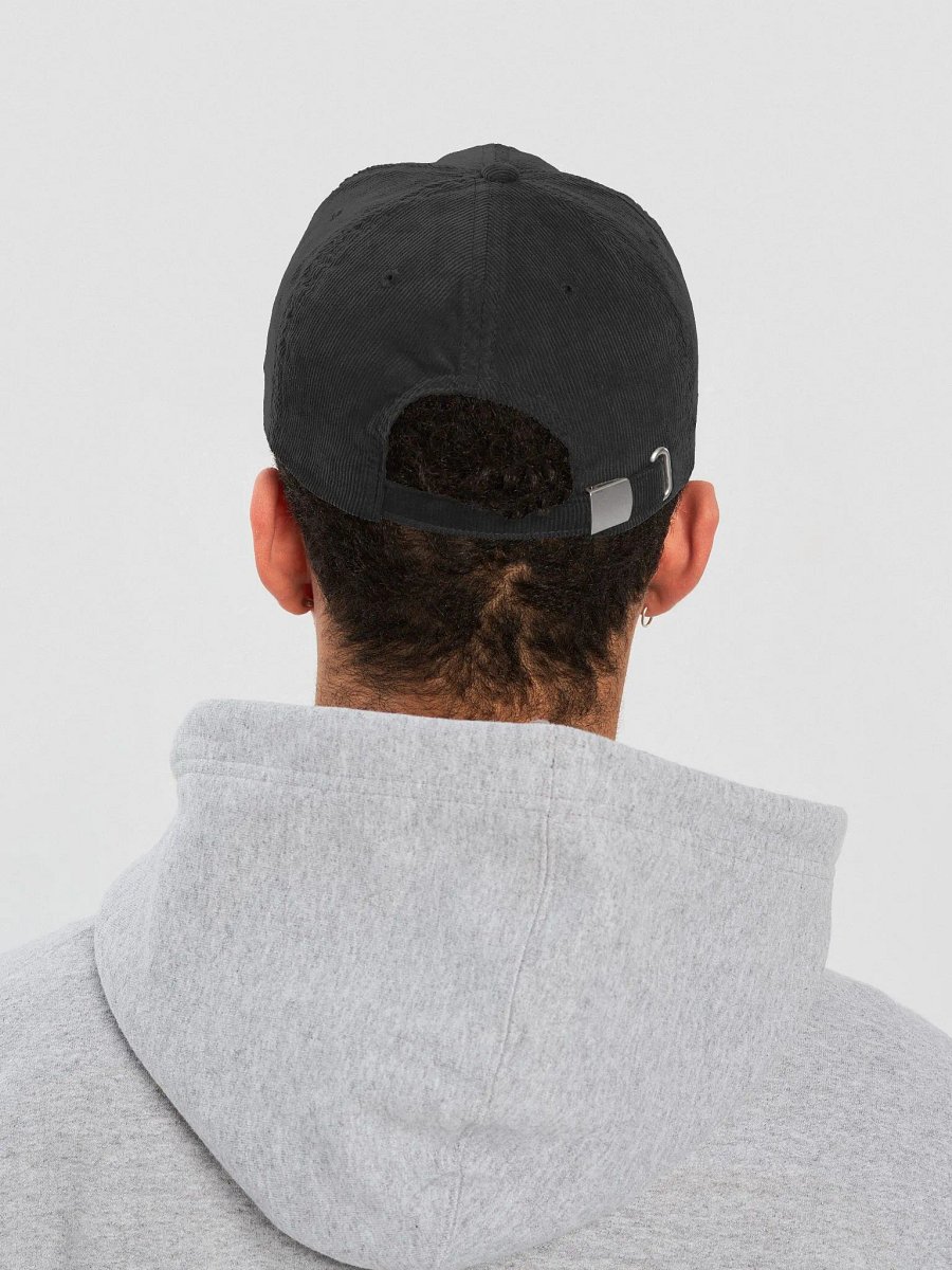 TOO MANY ANTS TELLING BEES HOW TO MAKE HONEY - Corduroy Hat product image (6)