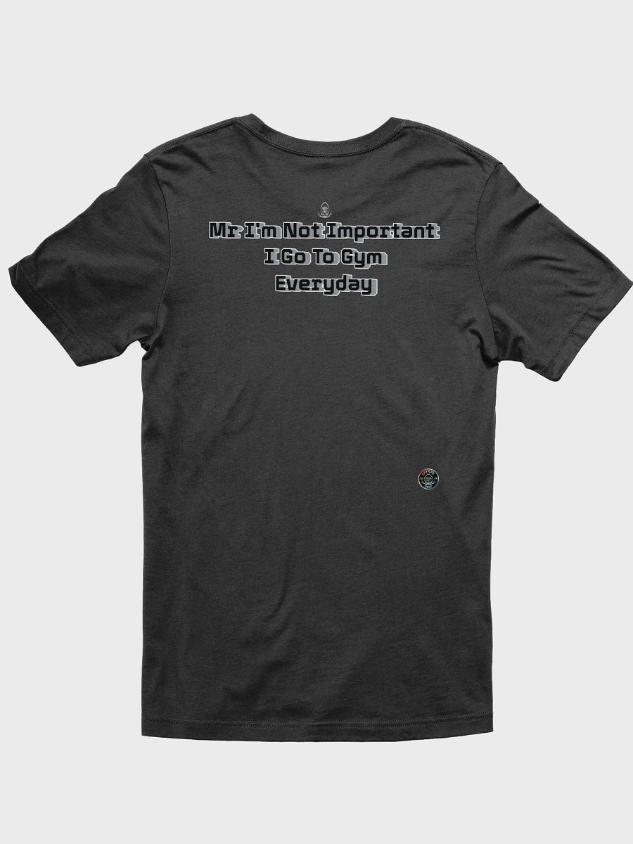 I go to the Gym Everyday - Supersoft T-Shirt - Mr I'm Not Important product image (2)