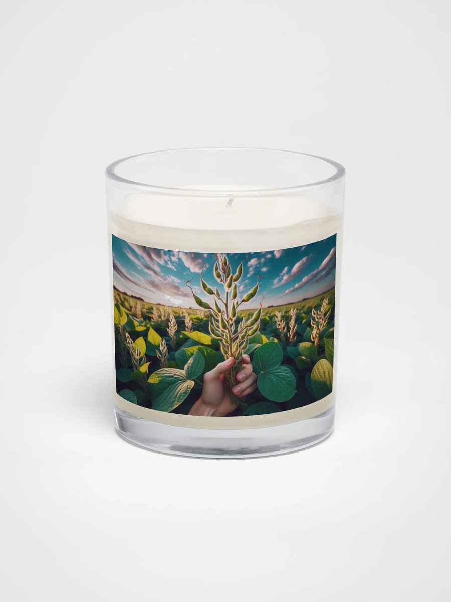 Soybean Serenity Candle product image (1)