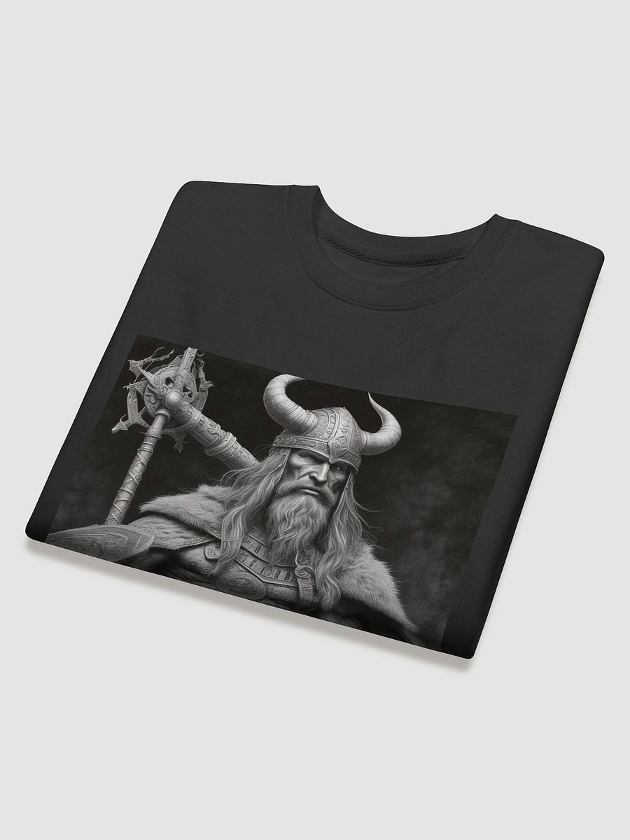 Viking Warrior product image (33)