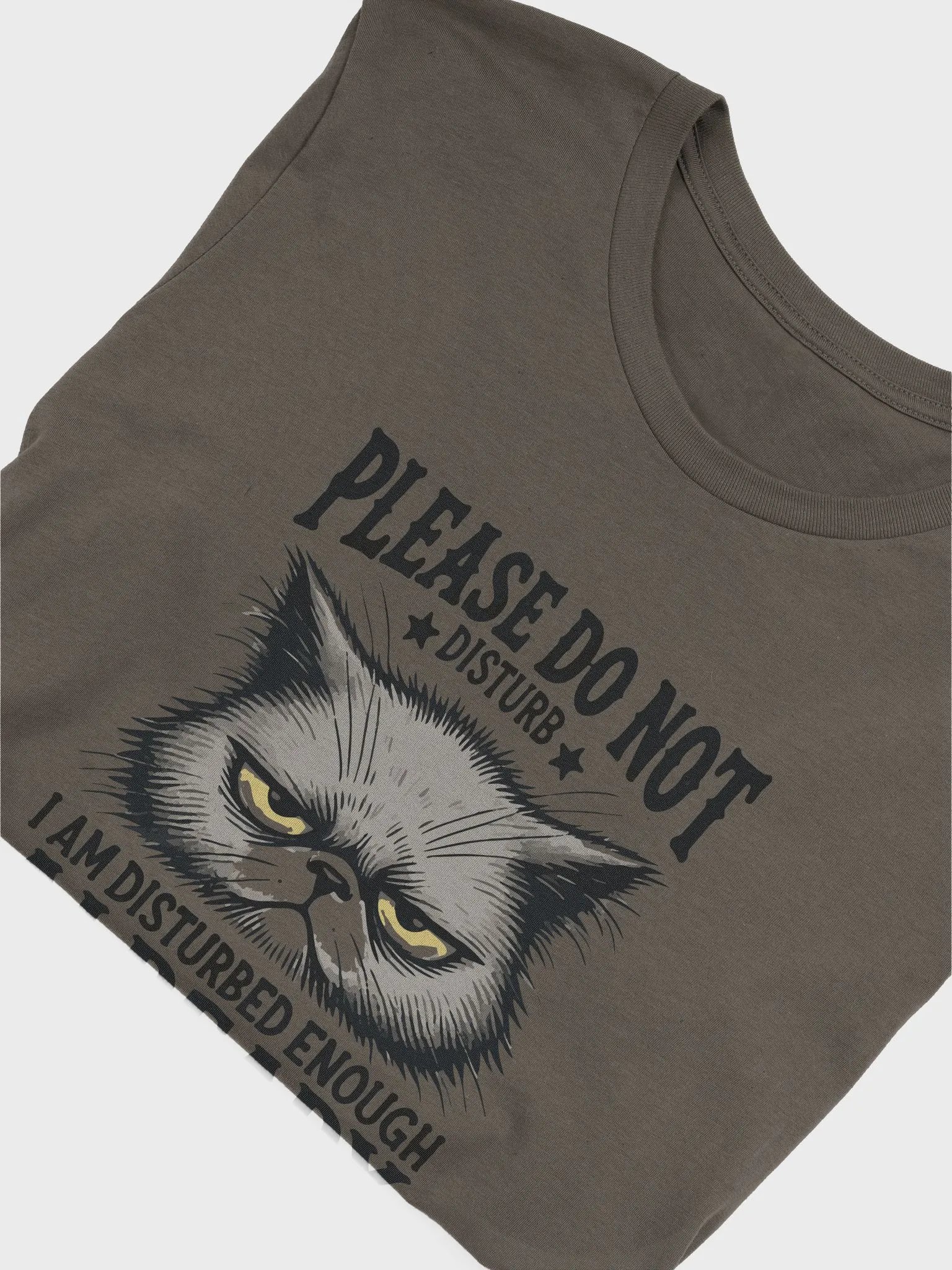 "Please Do not disturb" t-shirt product image (20)