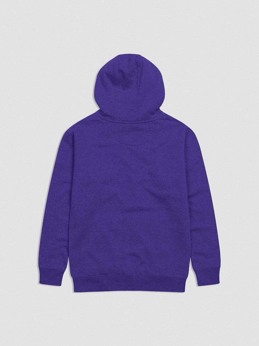 Embroidered Hoodie product image (3)