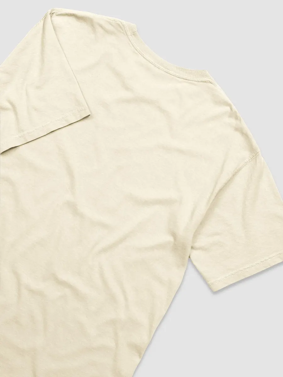 Patriotic Shamrock Tee product image (28)