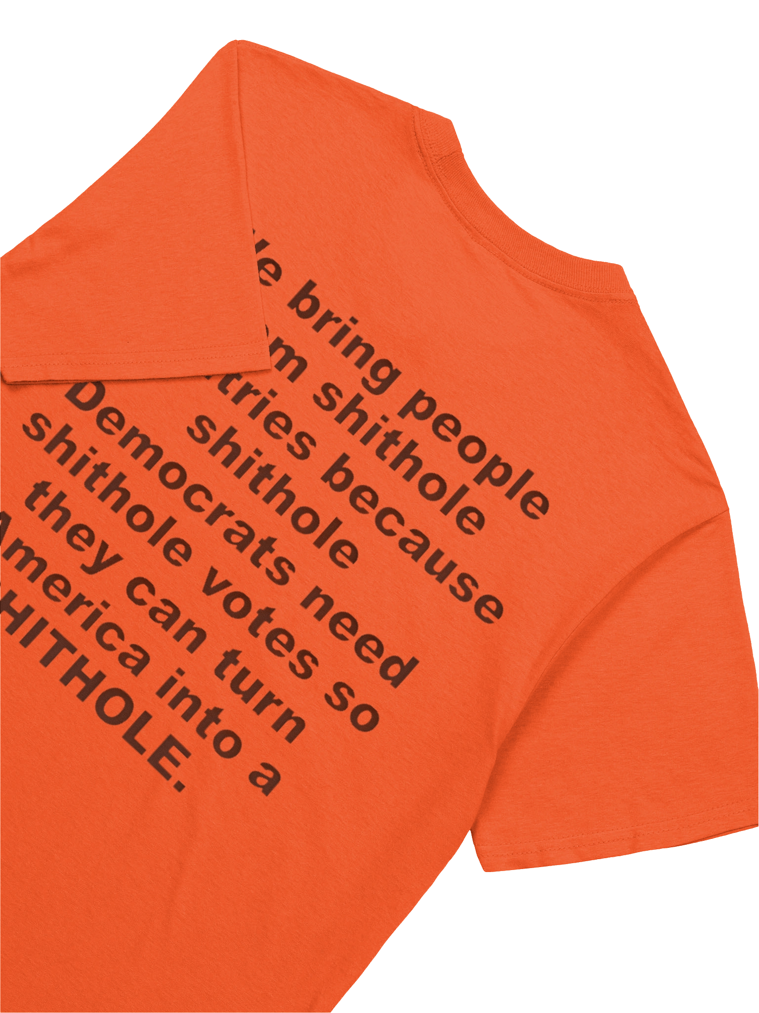 We Bring People From Shithole Countries Anti-Democrat Graphic Shirt product image (4)