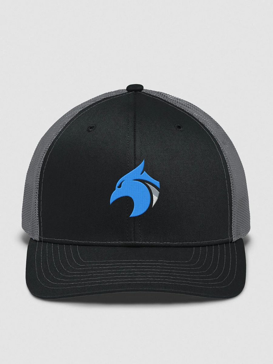 Richardson Style Dirty Logo product image (1)