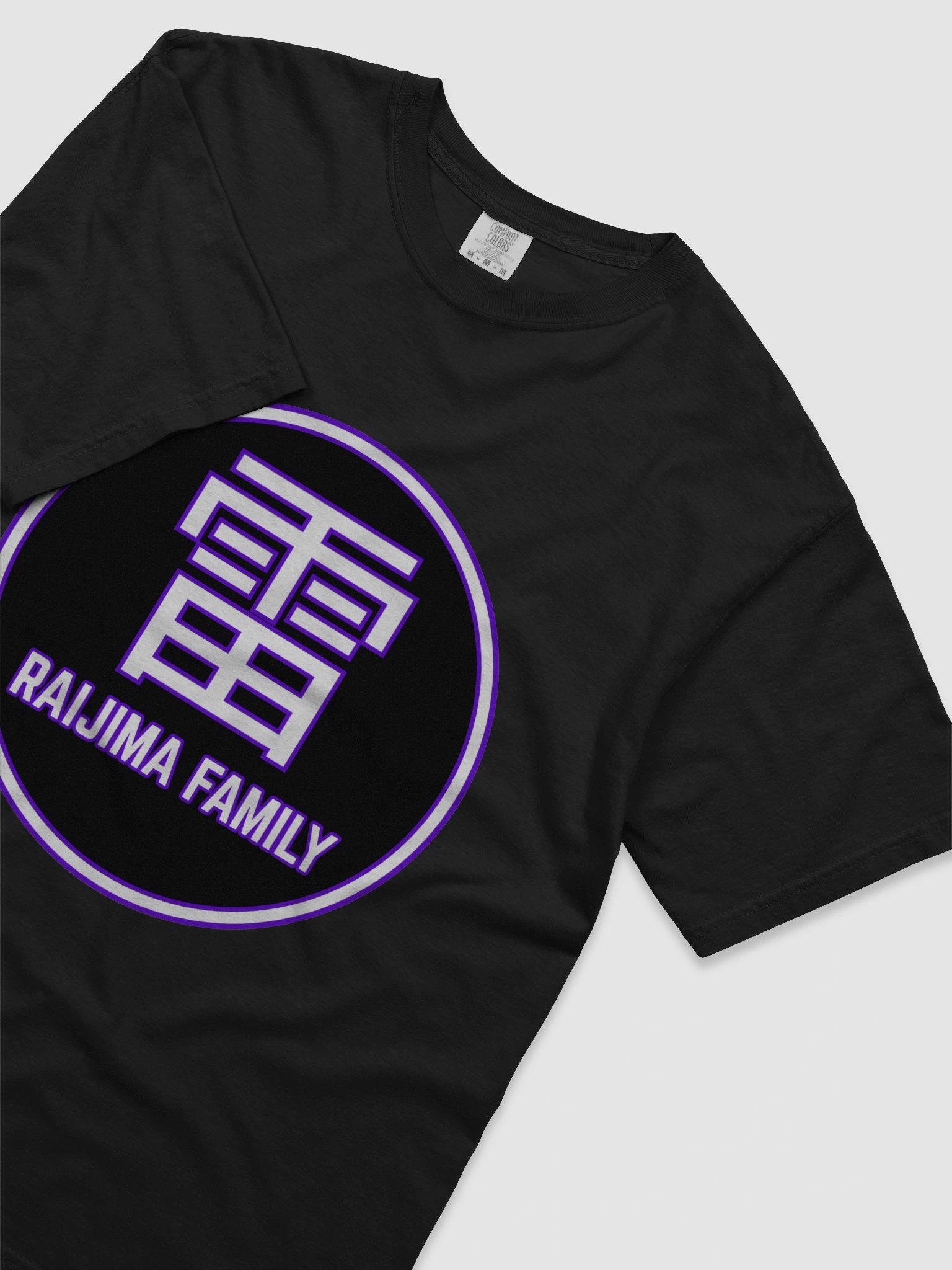 Raijima Family Logo Comfort Tee product image (15)