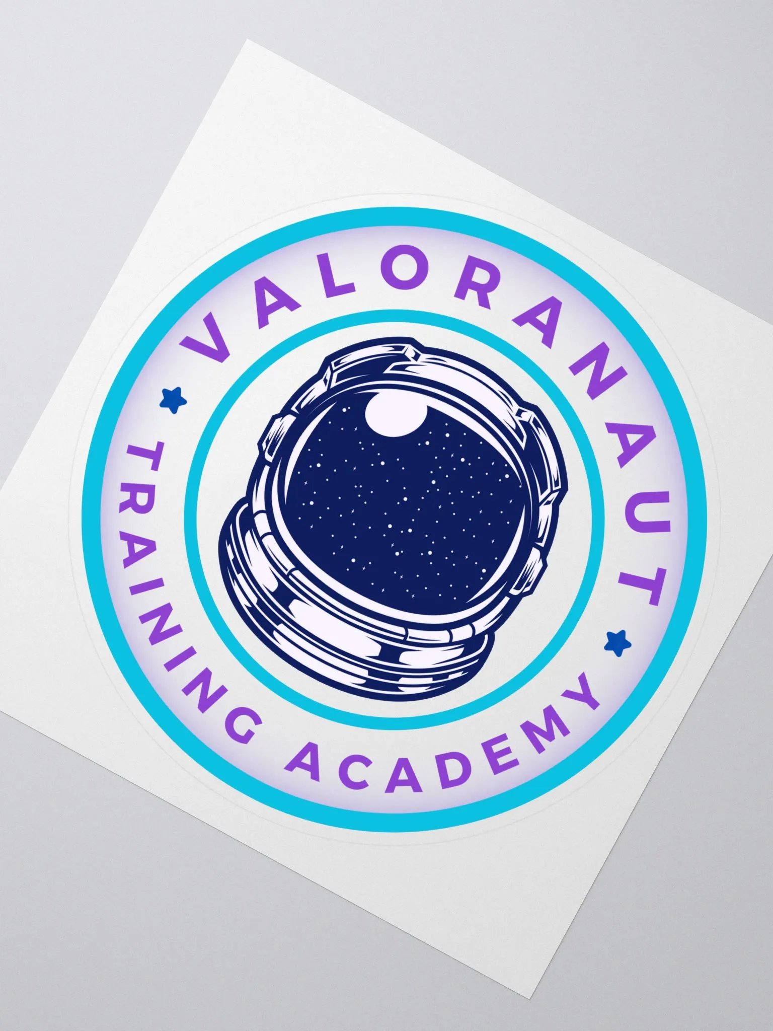 VTA Vinyl Sticker product image (2)