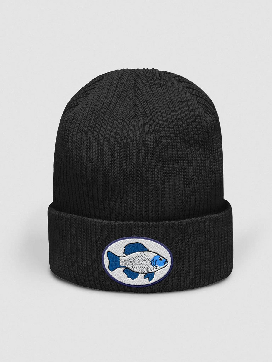 Fish Beanie product image (1)