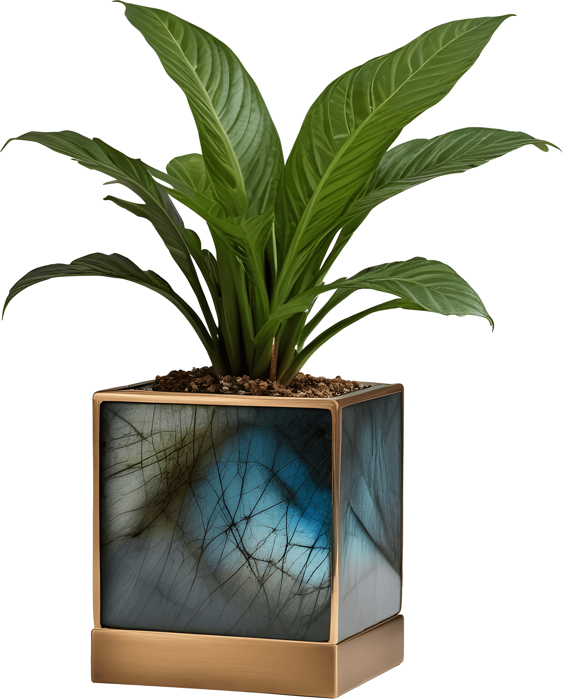 Stellar Luxe – Square Labradorite & Bronze Planter PNG product image (1)
