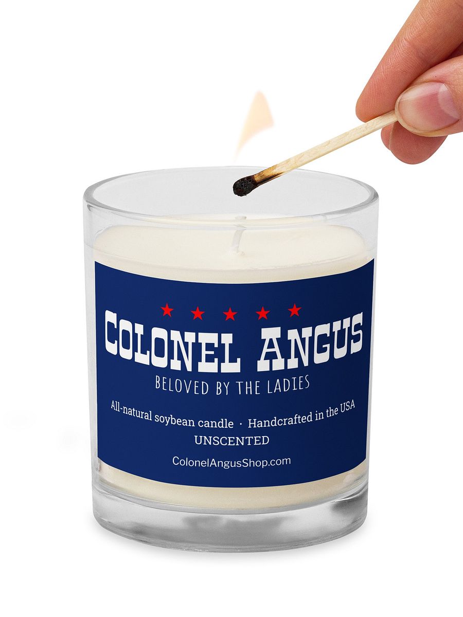 Unscented candle funny gift product image (4)