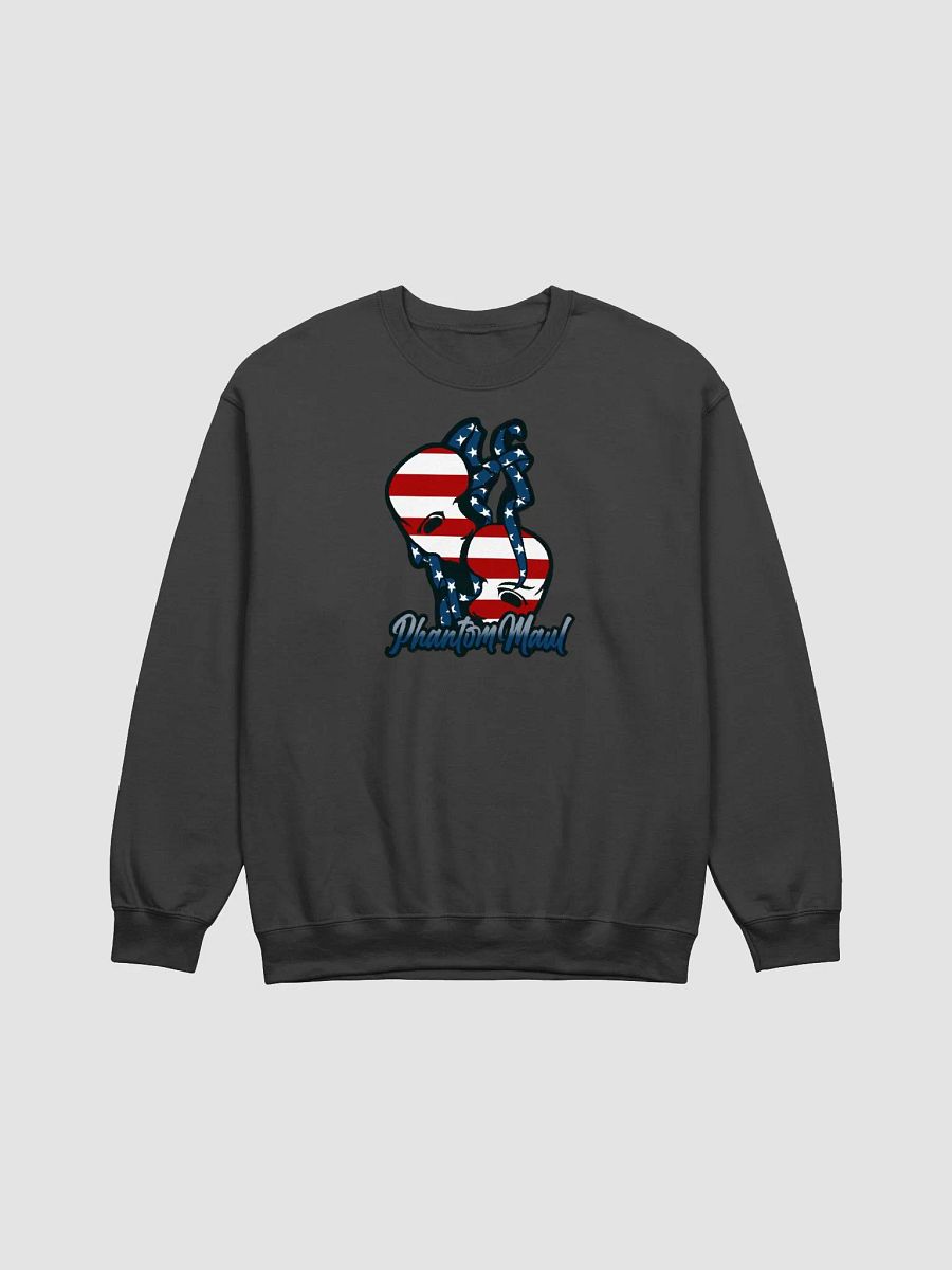 USA Logo Crew Neck product image (2)