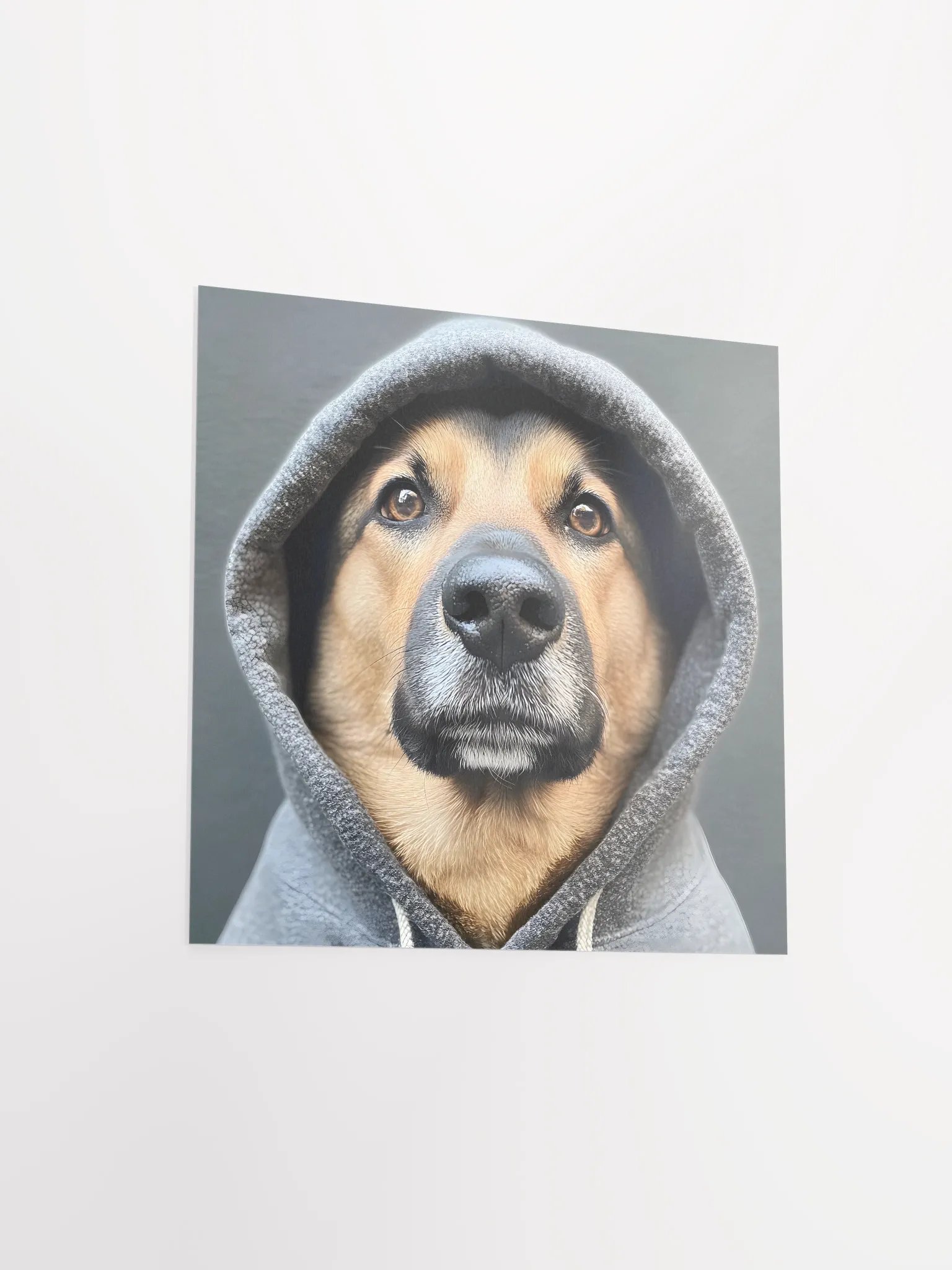 Hacker Dog product image (15)