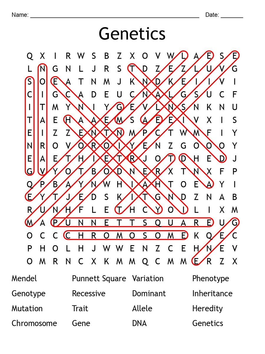 Printable Genetics Word Search – 16 Key Vocabulary Puzzle Activities! product image (2)