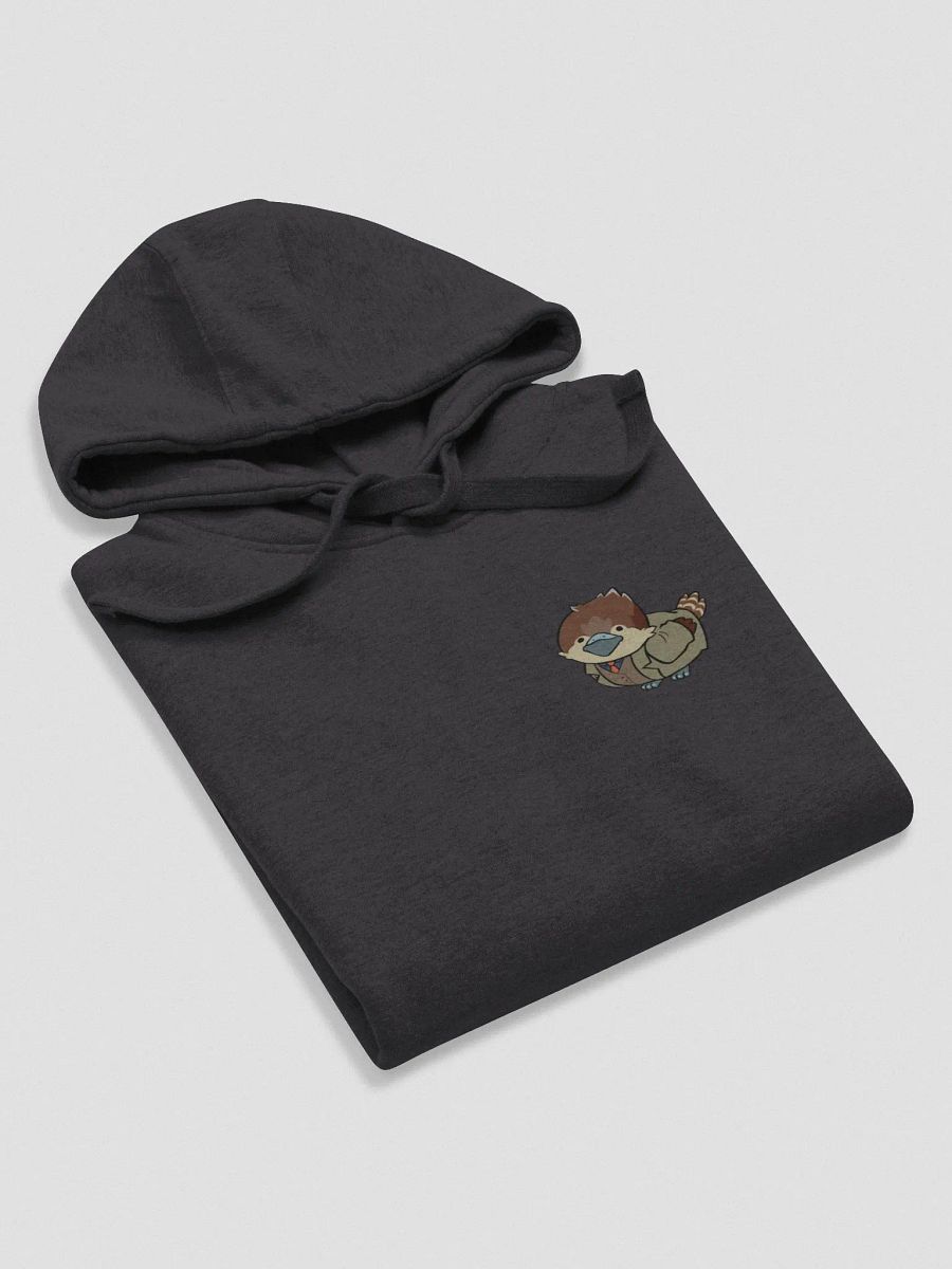 Te'anos Borb and name Hoodie product image (29)