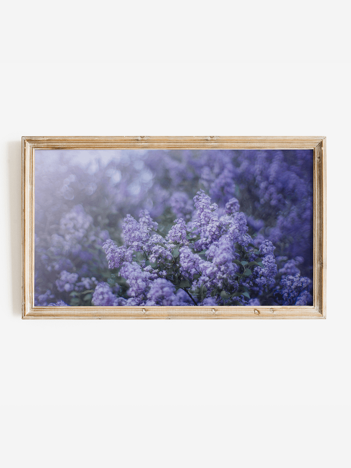 Purple Spring Lilacs by Caroline Jensen | Frame TV Art product image (1)