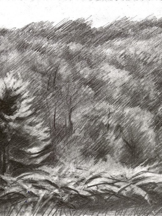 Beek – 21-07-19 product image (1)