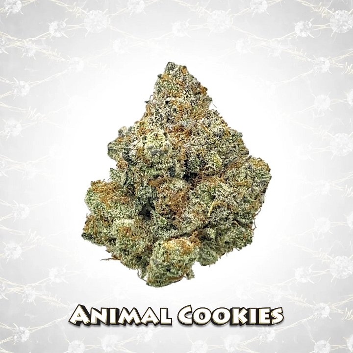 DRR THCA Flower - Animal Cookies 3.5g (1/8oz) product image (2)