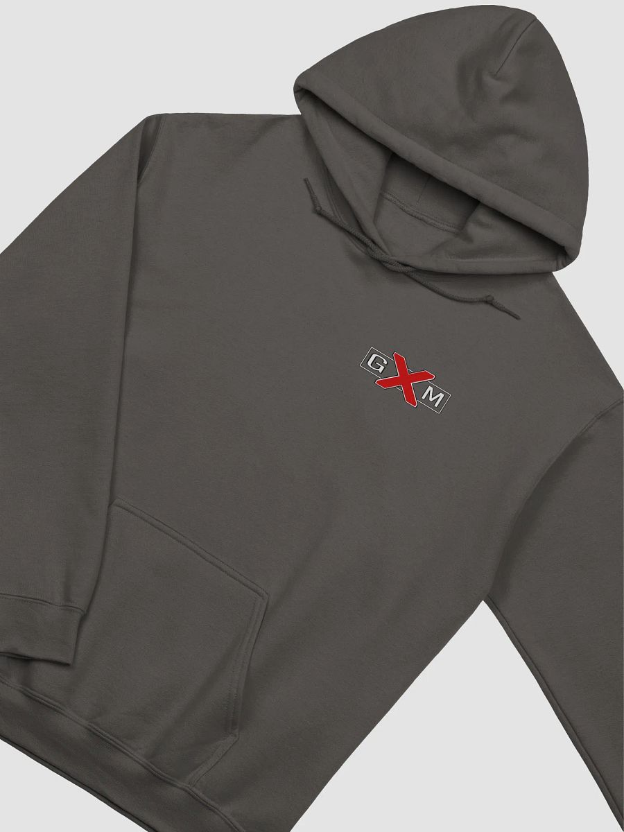 Logo Basic Team hoodie product image (27)