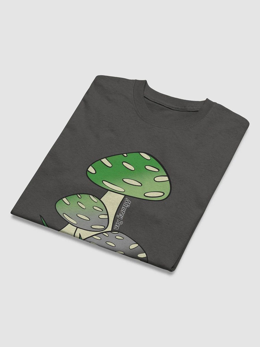 Mushrooms- Aromantic product image (19)