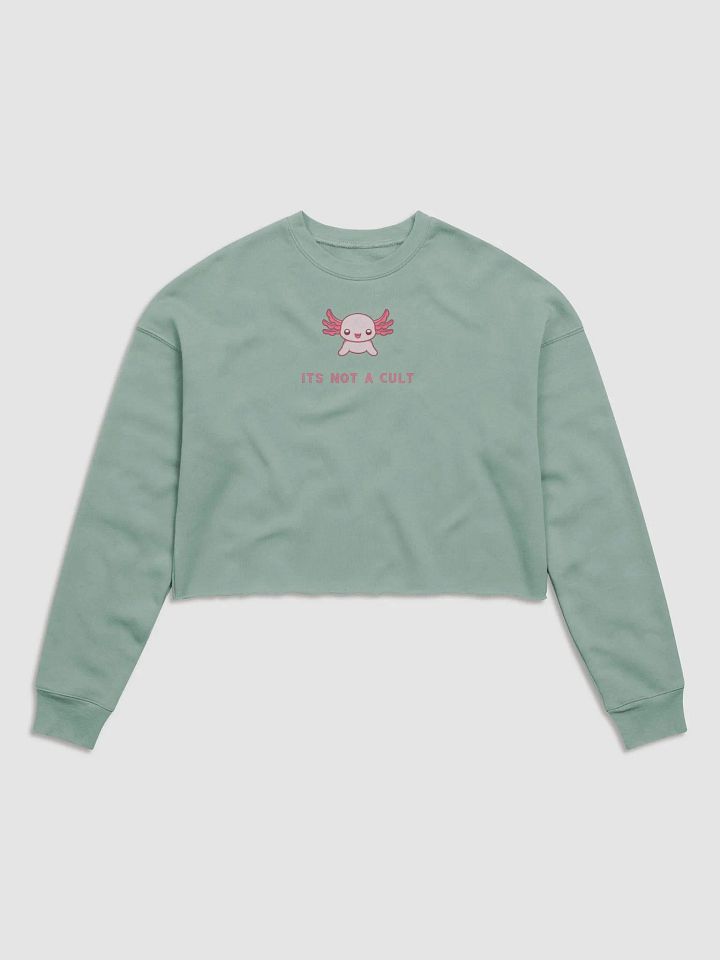 NOT A CULT crop product image (1)