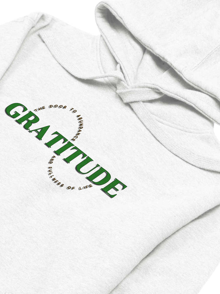 Gratitude Circle Premium Hoodie product image (3)