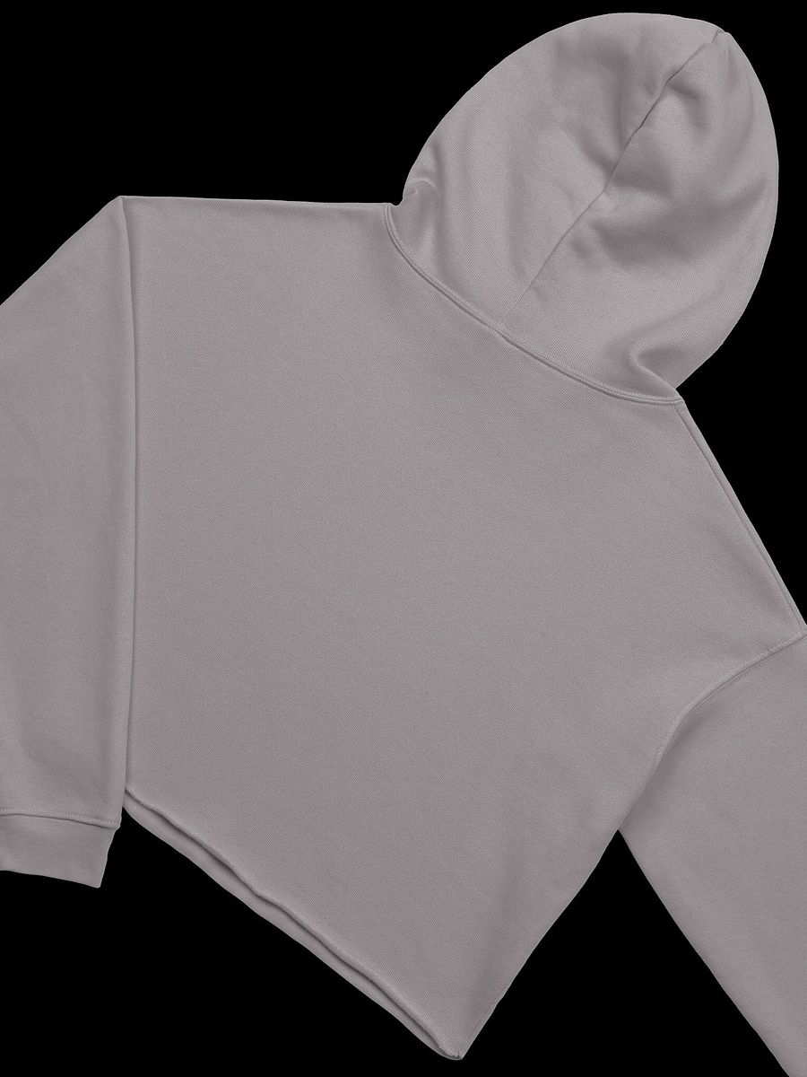 Let's Wrap This Up Coffin Crop Hoodie product image (23)