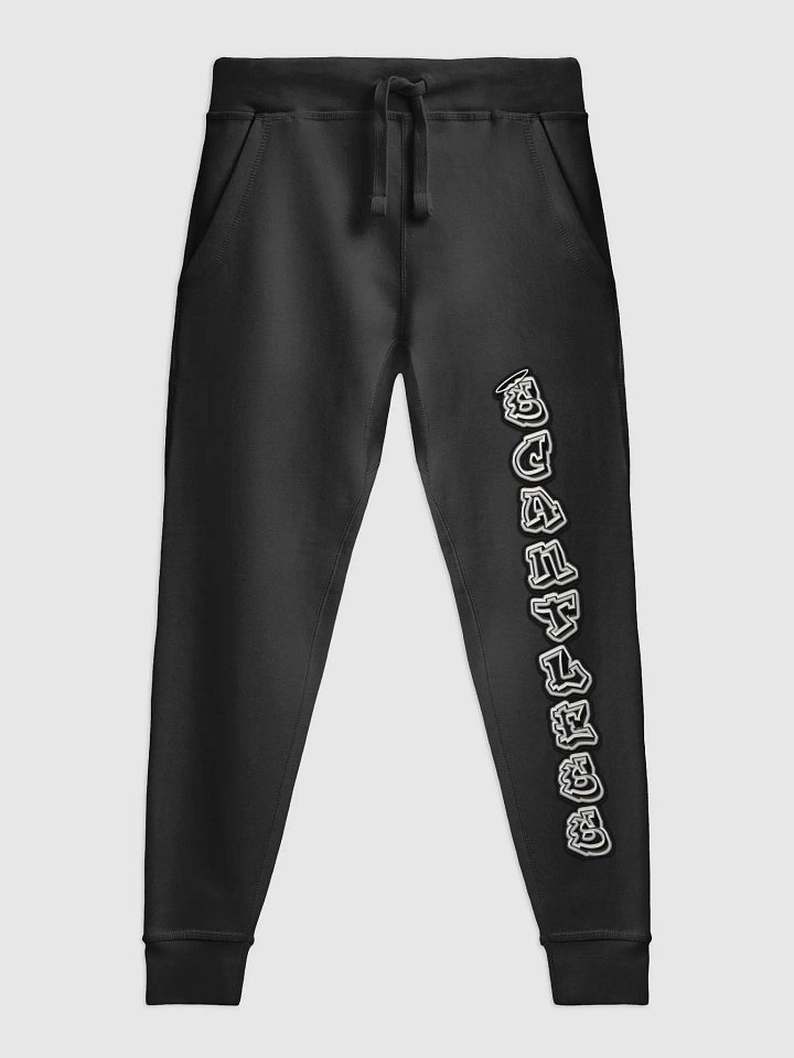 Scantless Joggers product image (1)