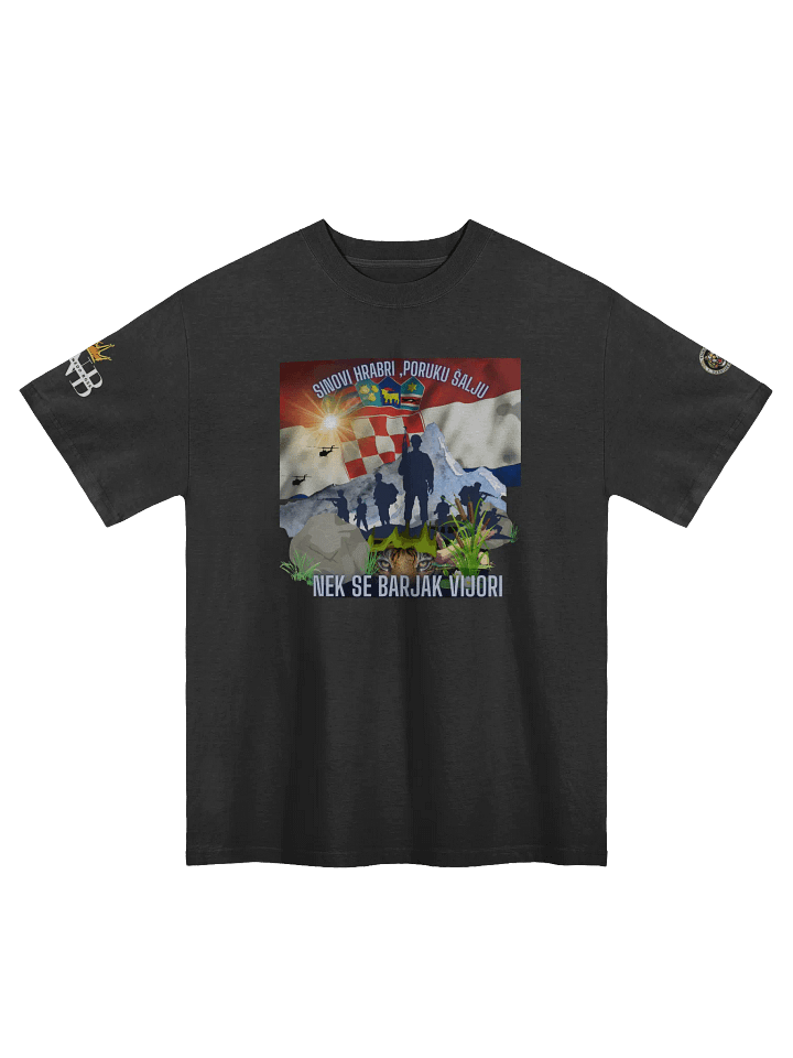 Crowned PNB Oversized Faded T-Shirt Tigrovi Oluja95 product image (1)