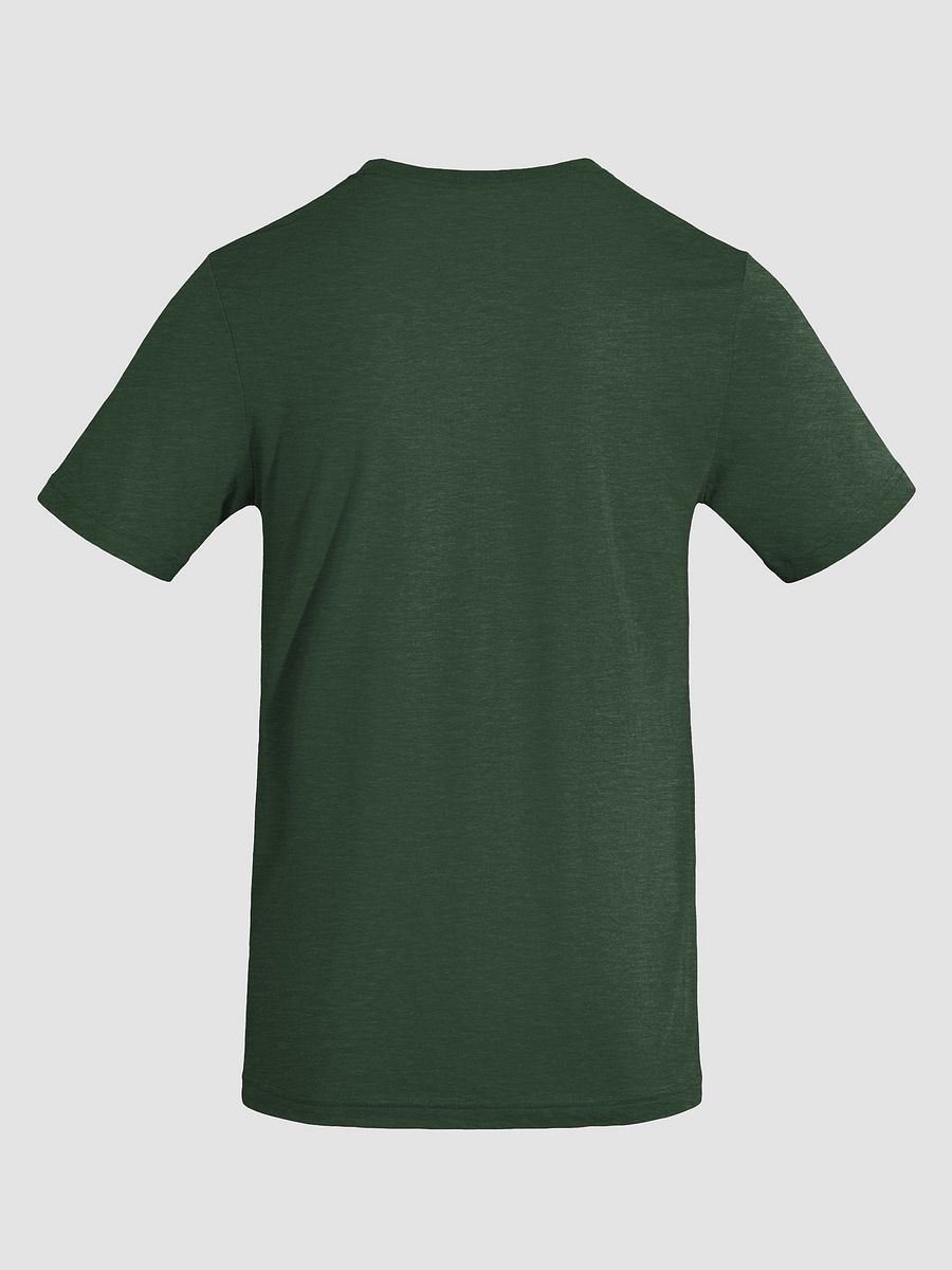 Sunlit Tree Triblend Tee product image (4)