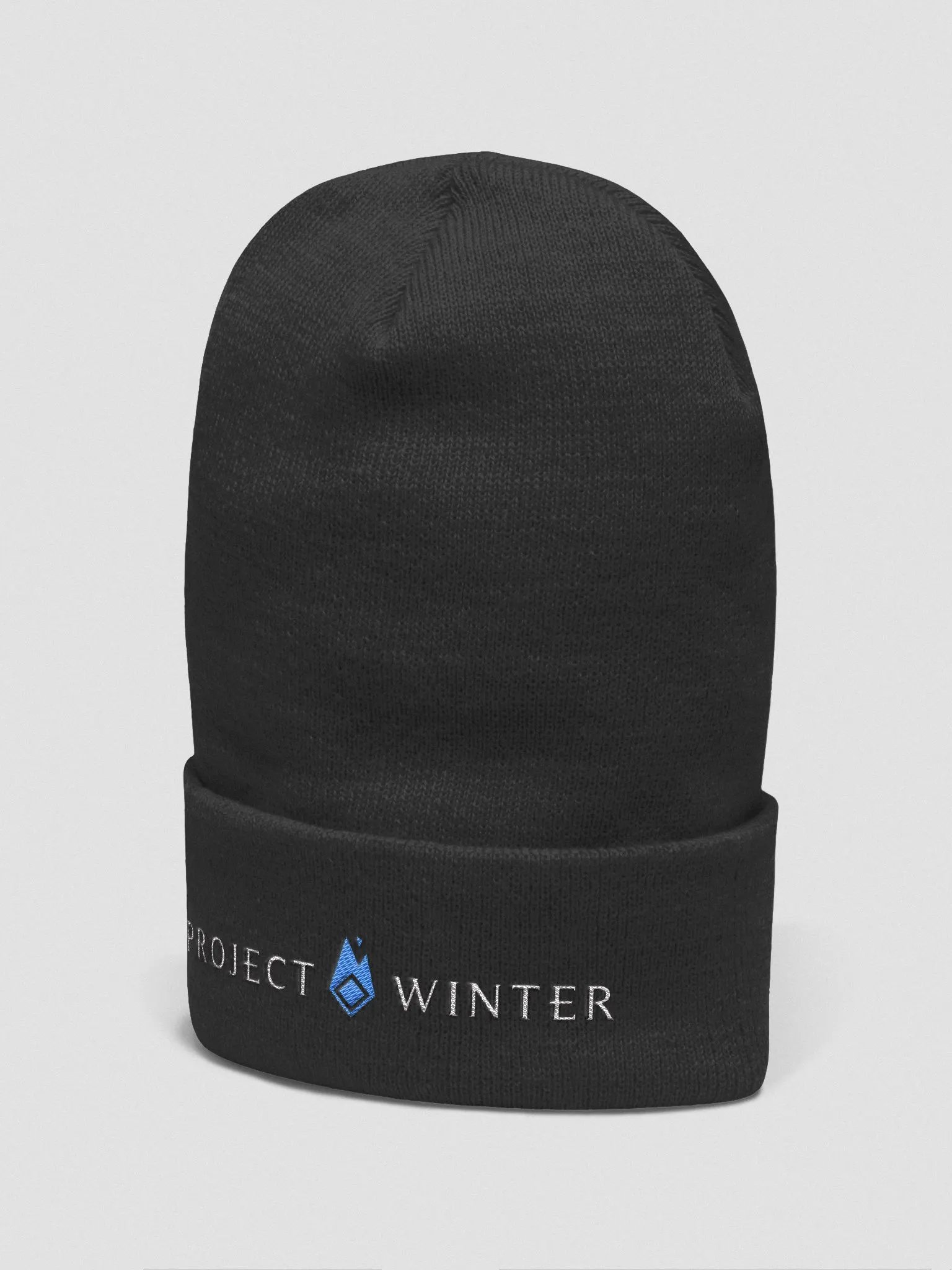 Basic Logo Beanie product image (4)