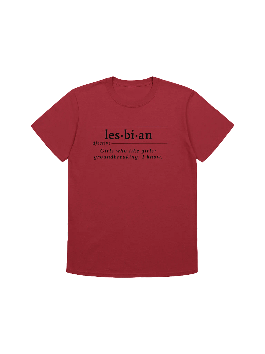 Lesbian Def Unisex Tee v2 product image (1)