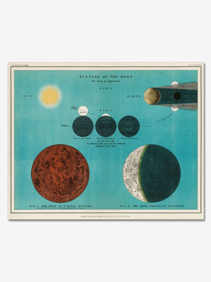 Celestial Eclipse Phases (1908) Poster product image (1)