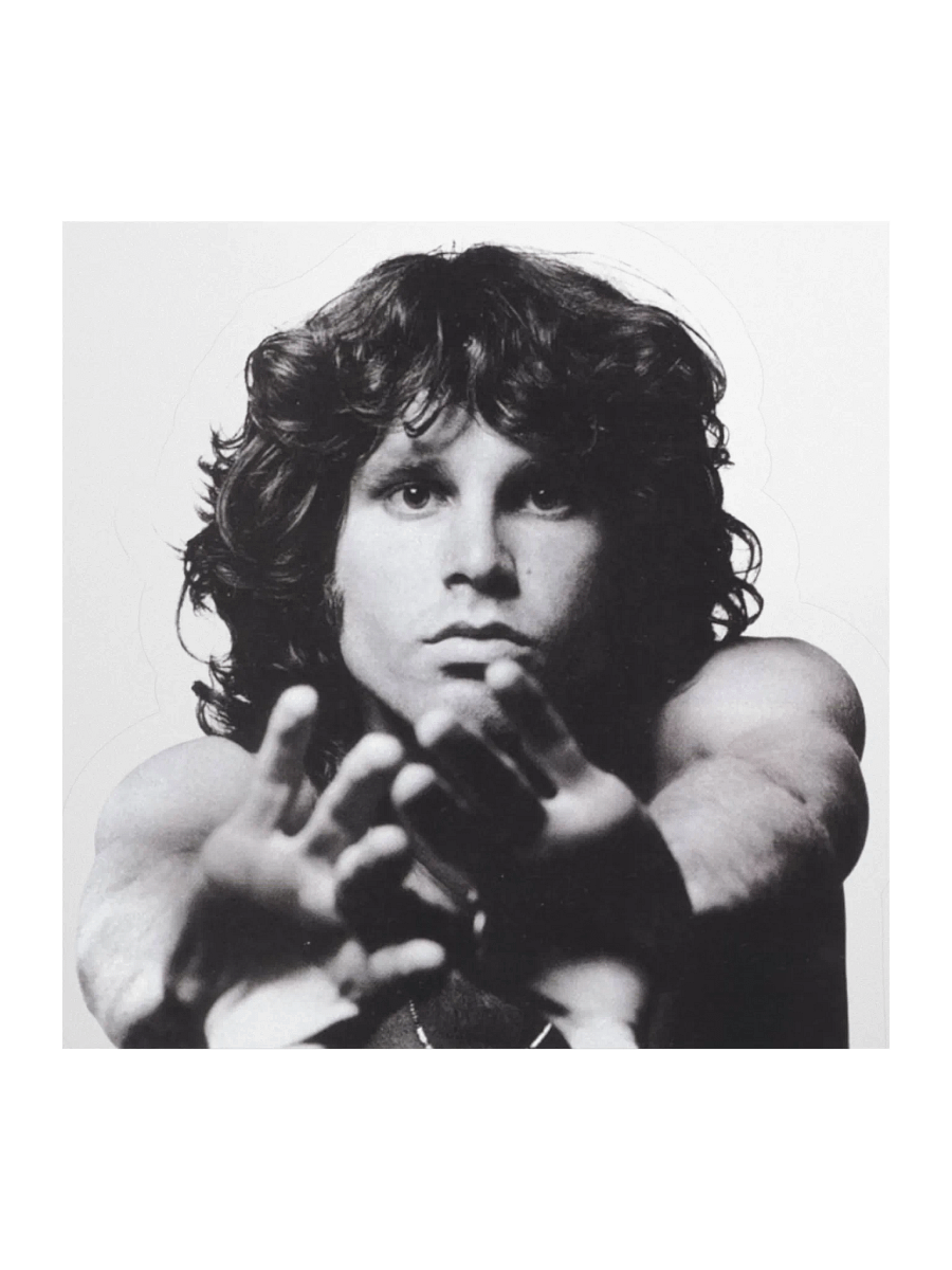 Jim Morrison Sticker – TheAmericanPoet | The Doors | Psychedelic Rock Icon | Kiss Cut Vinyl Stickers product image (2)