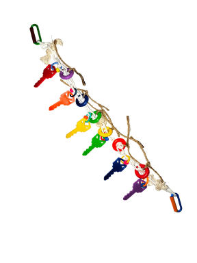 BOXTOWN KEYS product image (1)