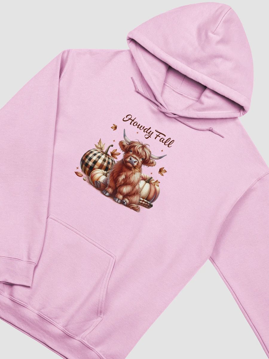 Howdy Fall Hoodie product image (3)