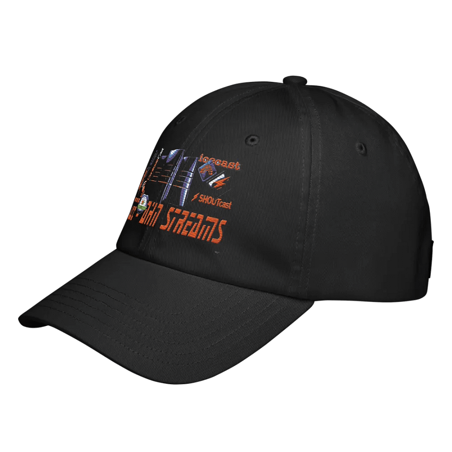 ZEE - Dads Hat product image (2)
