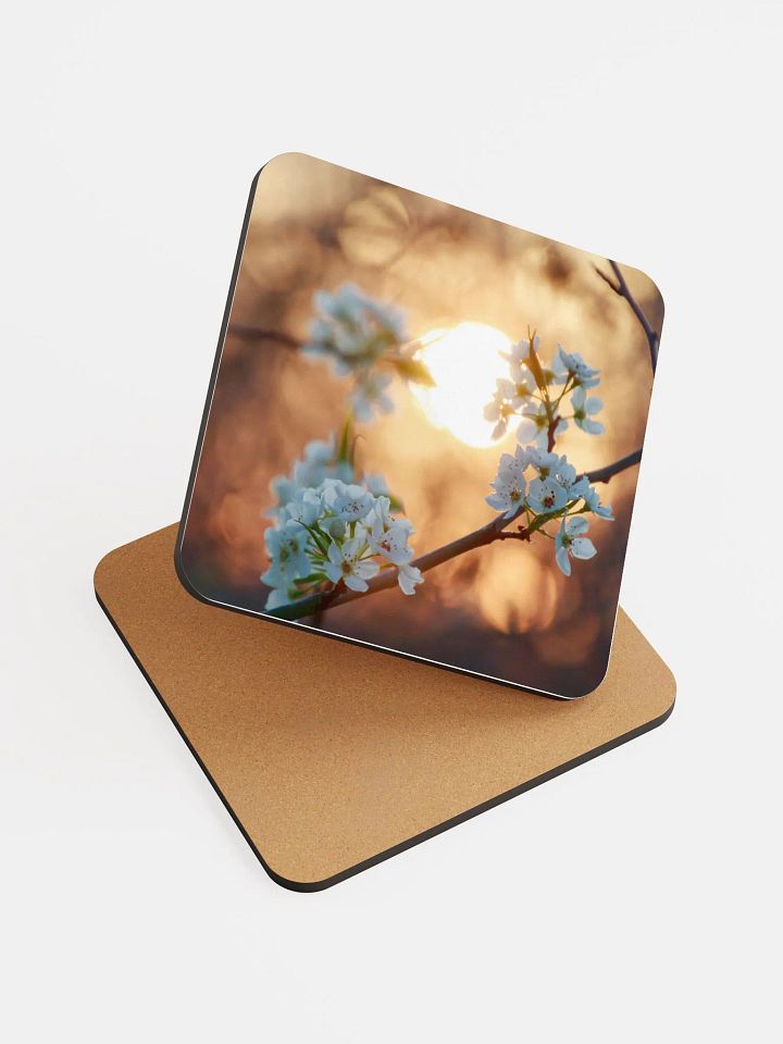Blossoms Coaster product image (1)