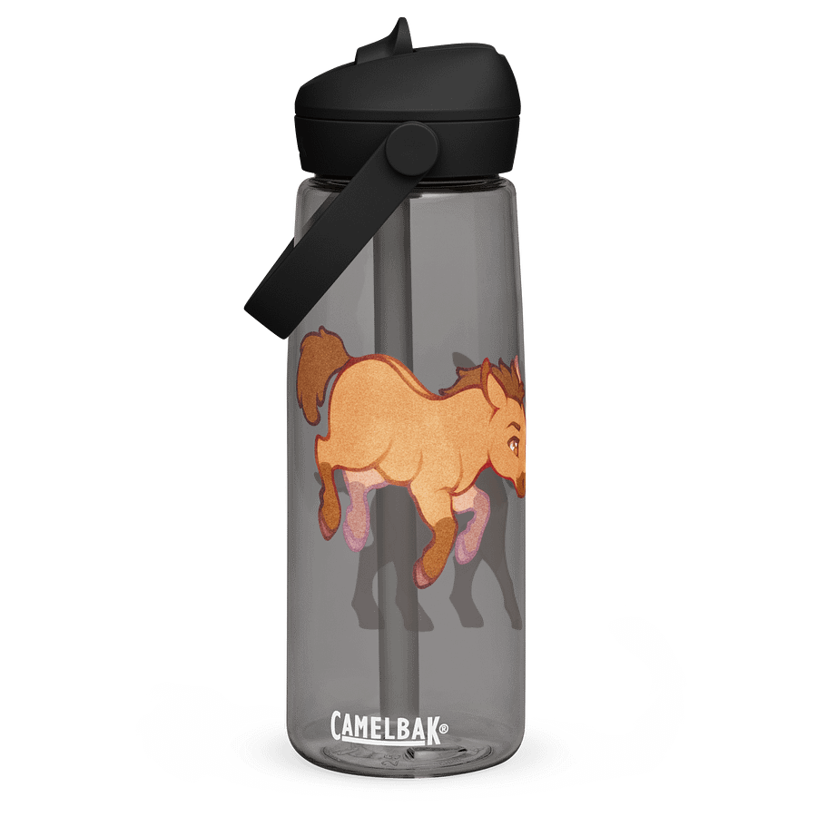 Spirit & Rain | CamelBak straw bottle product image (3)