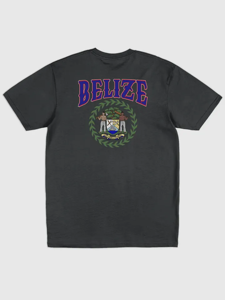 Team Belize Men's Premium Tee product image (2)