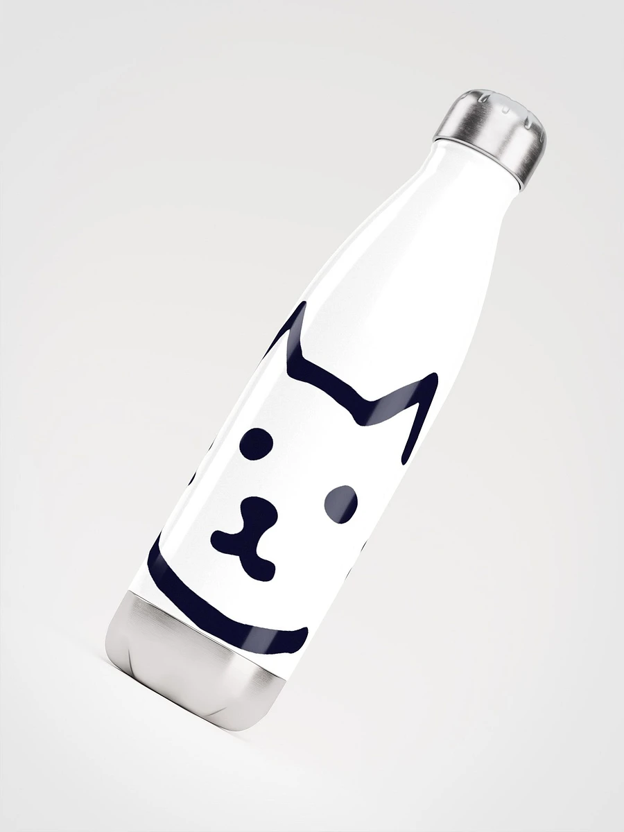 Stainless Steel Water Bottle product image (4)