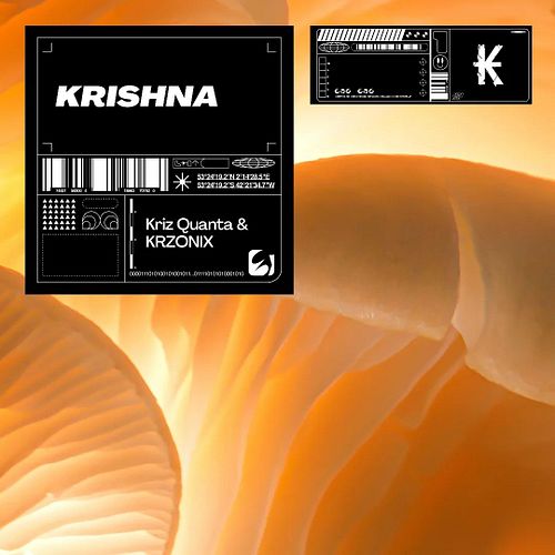 Have you heard 'Krishna' by talented producers KRZONIX and Kriz Quanta yet? 🔥🔥🔥

#edm #edmlife #edmlifestyle #edmfamily  #edm...