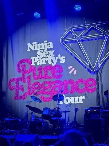 Ninja Sex Party!