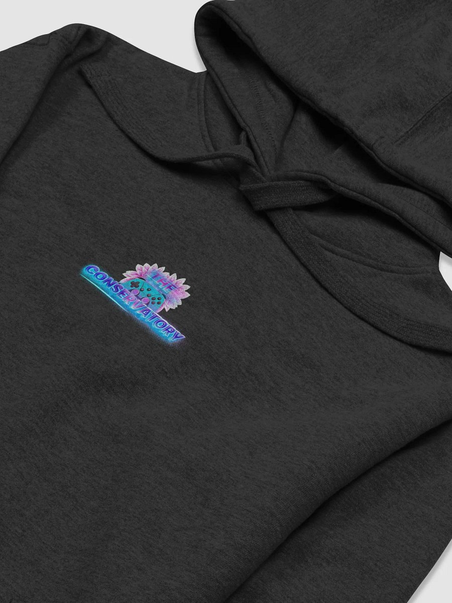 The Conservatory Crew Hoodie product image (3)