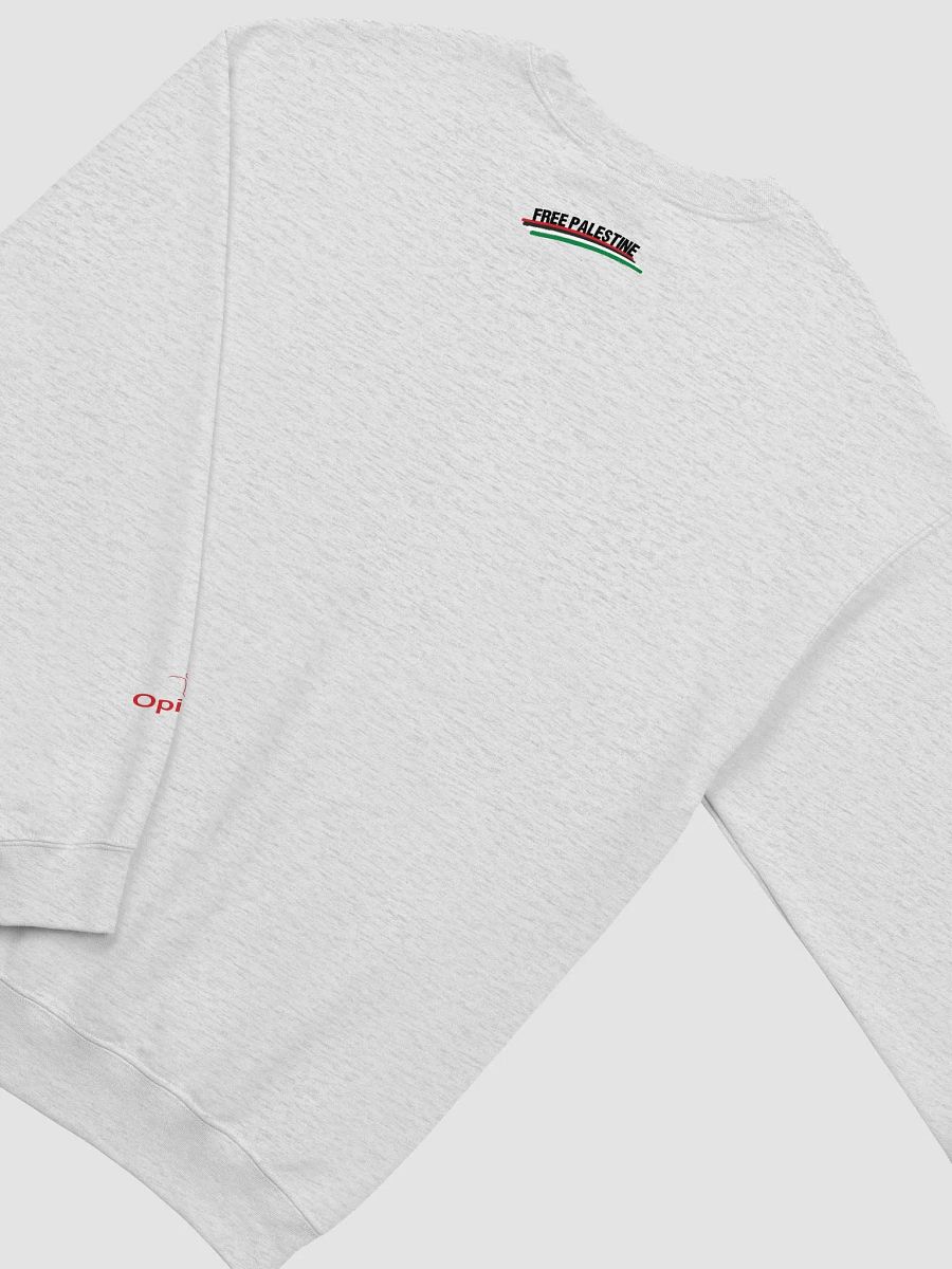 Palestine - Aaron Bushnell - Gildan Classic Crewneck Sweatshirt product image (4)