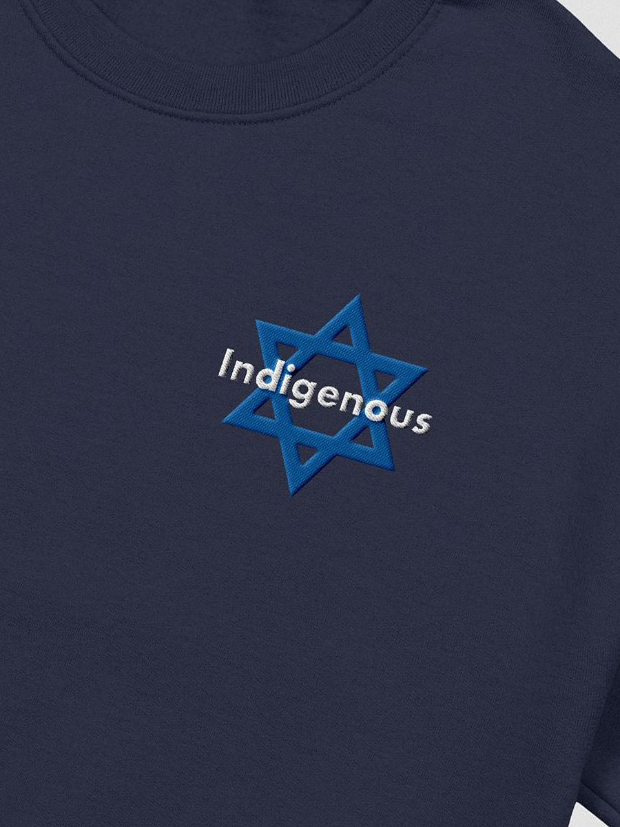Indigenous Embroidered Sweatshirt product image (1)