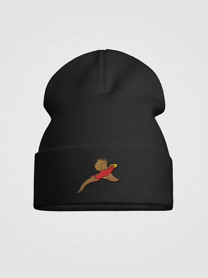 Beanie with logo. product image (1)