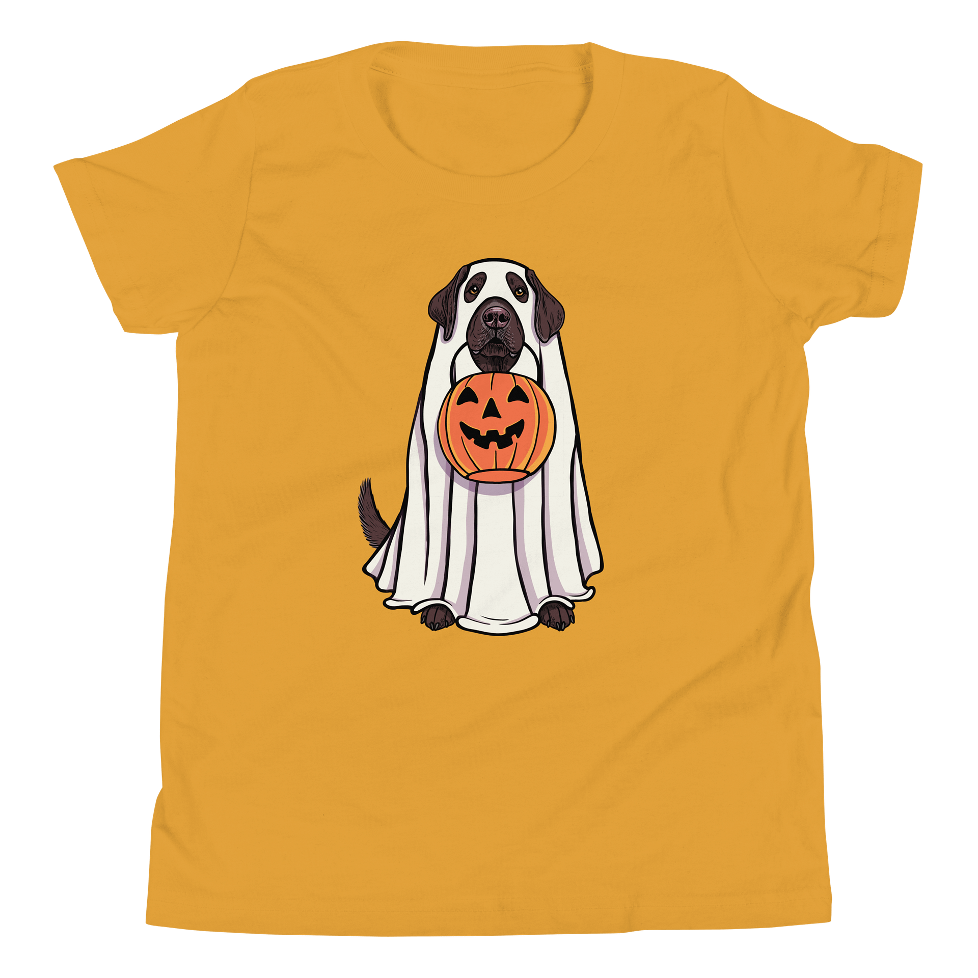Halloween Labrador Retriever(Chocolate) Youth T-Shirt product image (5)